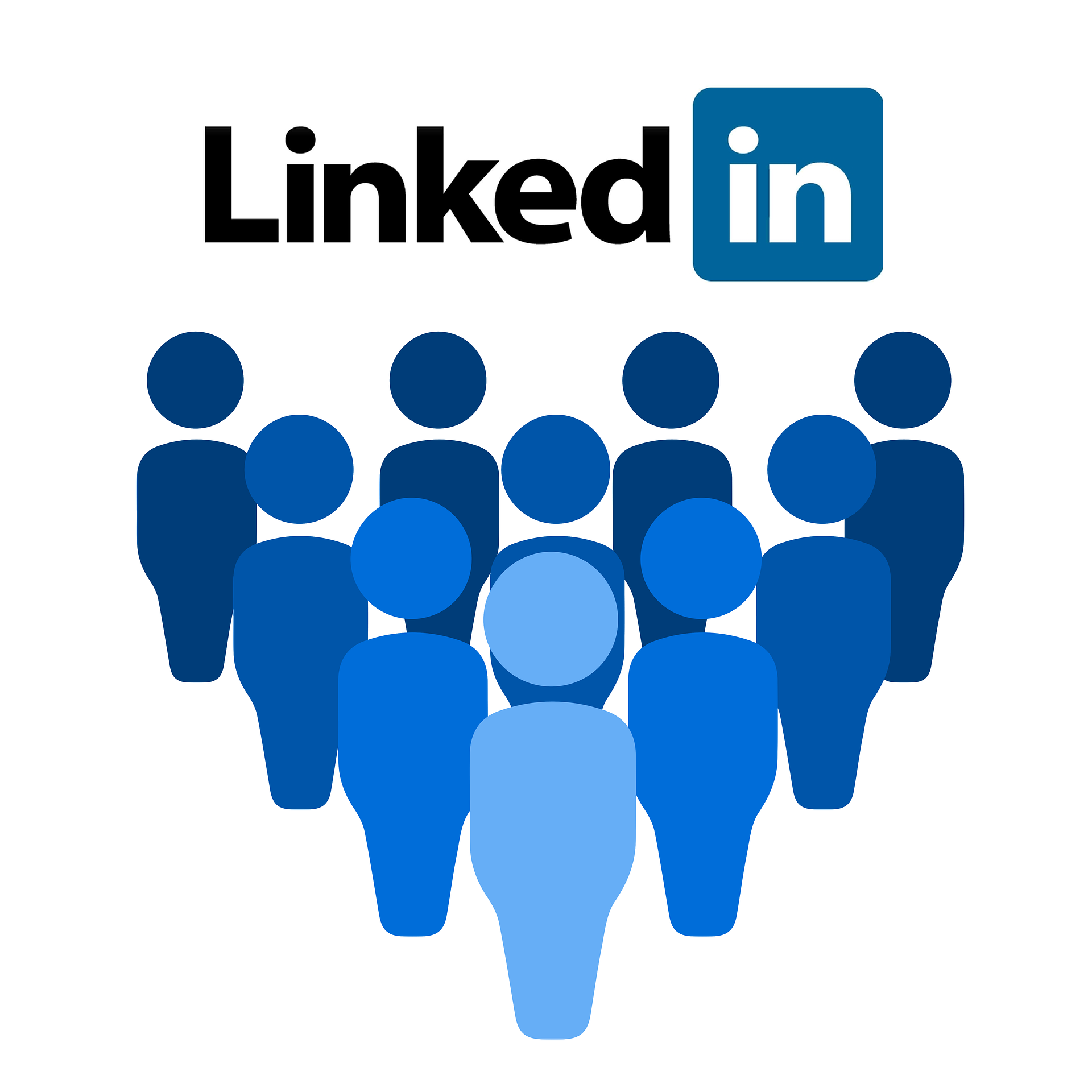 Visit Paula Anne at LinkedIn